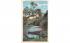 Arch Tree, Tomoka River Misc, Florida Postcard