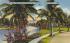 Indian Creek showing Roney Plaza Miami Beach, Florida Postcard