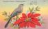 State Bird of Florida - The Mocking Bird Postcard