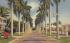 Residence View in Tropical Florida, USA Postcard
