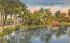 Reflections at Matheson Hammock Park Miami, Florida Postcard