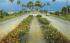 Flowerlined Causeway, Clearwater, Clearwater Beach Misc, Florida Postcard