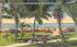 Palm Studded Lummus Park and the Surf  Miami Beach, Florida Postcard