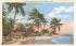 Palms Along the Shore, FL, USA Misc, Florida Postcard