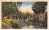 Tropical Foliage on Arch Creek Miami, Florida Postcard