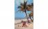 White Sand, Sky Blue Waters, and Palm Trees Misc, Florida Postcard