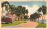 Winding Roadway in Sunny Flordia, USA Misc, Florida Postcard