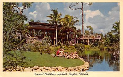 Tropical Caribbean Gardens Naples, Florida Postcard