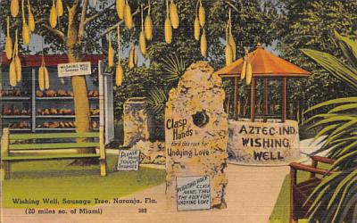 Wishing Well, Sausage Tree Naranja, Florida Postcard