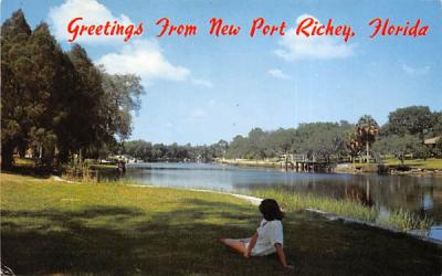 Greetings from New Port Richey, FL, USA New Port Rickey, Florida Postcard
