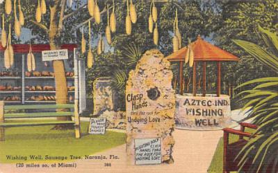 Wishing Well, Sausage Tree Naranja, Florida Postcard