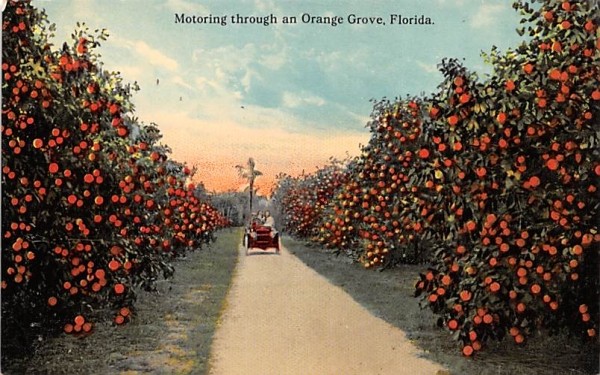 Orlando,FL Lucerne Circle Kropp Orange County Florida Antique Postcard  Vintage