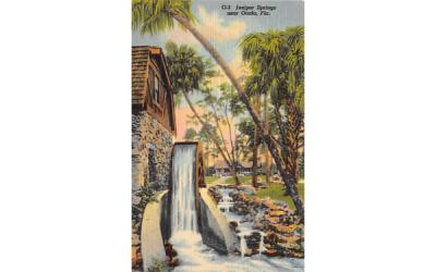 Juniper Springs Ocala, Florida Postcard