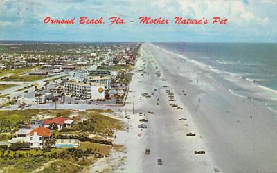 Mother Nature's Pet, Ormond Beach, FL, USA Florida Postcard