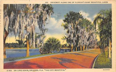 Florida's Many Beautiful Lakes, On Lake Adair Postcard