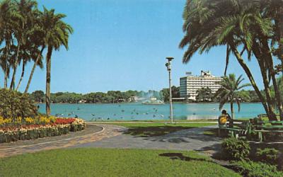 Flowers and Palms along the shores of Lake Eola Orlando, Florida Postcard