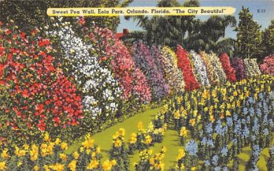 Sweet Pea Wall, Eola Park Orlando, Florida Postcard