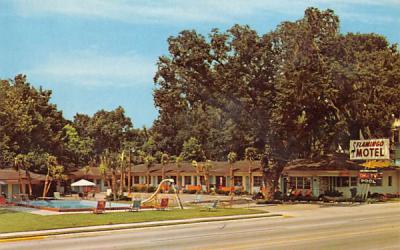 Flamingo Motel-Downtown Ocala, Florida Postcard