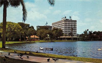 Pigeons, Palms and Swans abound on Lake Eola Orlando, Florida Postcard
