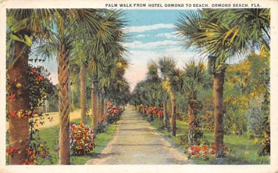 Palm Walk from Hotel Ormond to Beach Ormond Beach, Florida Postcard