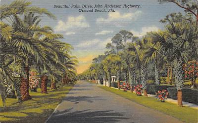 Beautiful Palm Drive, John Anderson Highway Ormond Beach, Florida Postcard