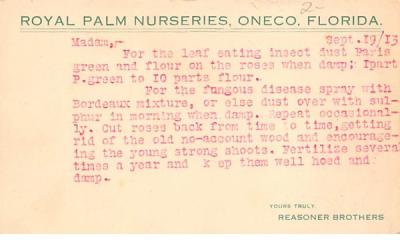 Royal Palm Nurseries Oneco, Florida Postcard