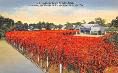 Orlando Lawn Bowling Club Florida Postcard