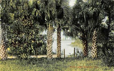 Rock Lake Orlando, Florida Postcard