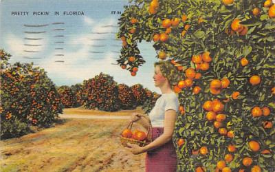 Pretty Pickin's in Florida, USA Postcard