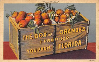 The Box of Oranges I Promised You from Florida, USA Postcard