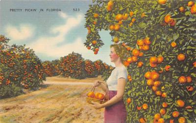 Pretty Pickin in Florida, USA Postcard