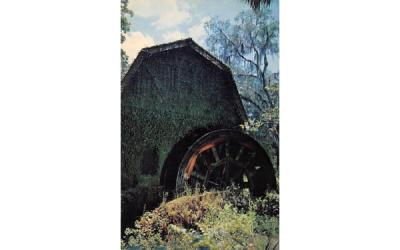 The Old Mill at Juniper Spring Park Ocala, Florida Postcard