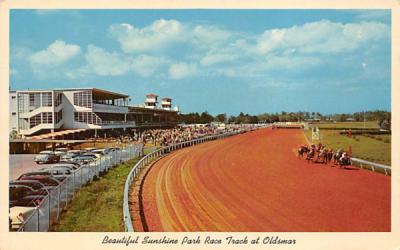 Beautiful Sunshine Park Race Track at Oldsmar Florida Postcard