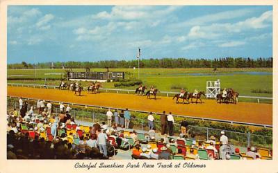 Colorful Sunshine Park Race Track at Oldsmar Florida Postcard