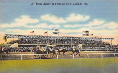 Horse Racing at Sunshine Park Oldsmar, Florida Postcard