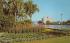 Flowers and Palms along the shores of Lake Eola Orlando, Florida Postcard