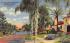 Tropical Florida, Edgewater Heights Postcard