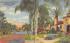 Tropical Florida, Edgewater Heights Postcard