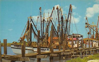 Shrimp fishing fleet Placida, Florida Postcard
