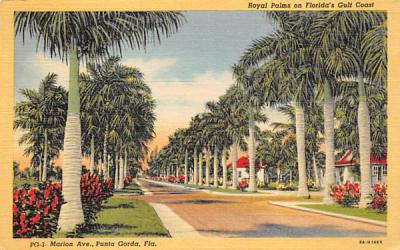 Royal Palms on Florida's Gulf Coast Postcard
