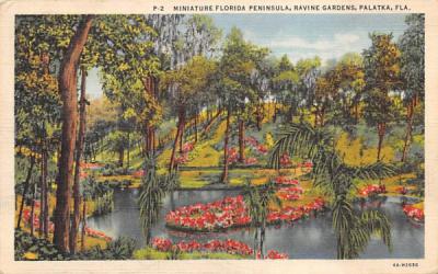 Miniature Florida, Peninsula, Ravine Gardens Postcard