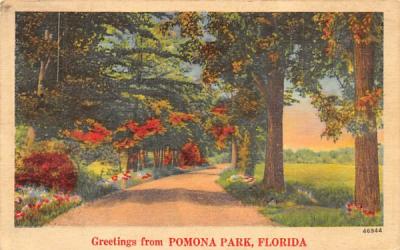 Greetings from Pomona Park, FL, USA Florida Postcard