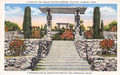A View of the Azalea Ravine Gardens Palatka, Florida Postcard