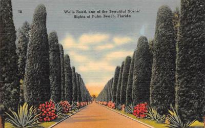 Wells Road,  Sights of Palm Beach, FL, USA Florida Postcard
