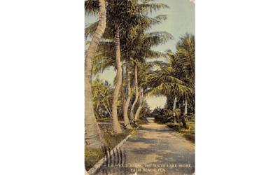 The Trail Along the South Lake Shore Palm Beach, Florida Postcard