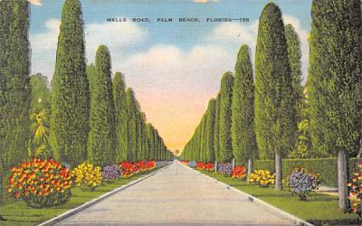 Wells Road Palm Beach, Florida Postcard