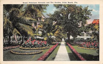 Royal Poinciana Grounds and Tea Garden Palm Beach, Florida Postcard