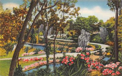 Ravine Gardens Palatka, Florida Postcard