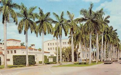 Royal Palm Way showing Four Arts in the Background Palm Beach, Florida Postcard