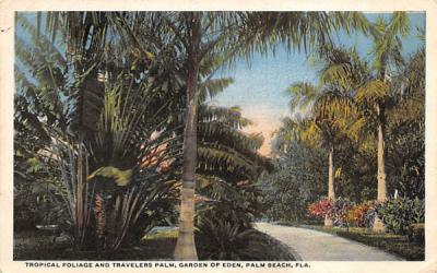 Tropical Foliage and Travelers Palm, Garden of Eden Palm Beach, Florida Postcard